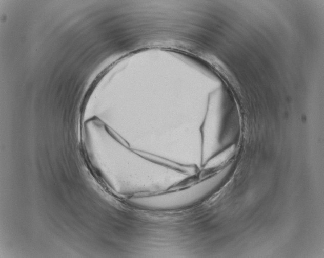 X0000064761036200603131403