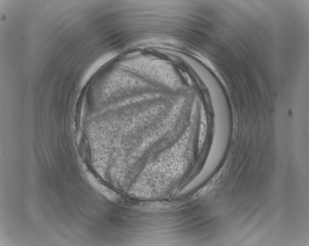 X0000064761042200603131403