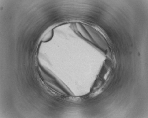 X0000064761052200603131404