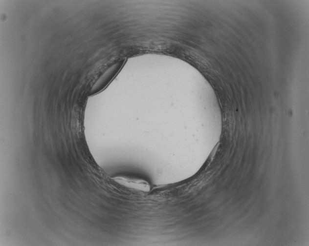 X0000064761058200603131403