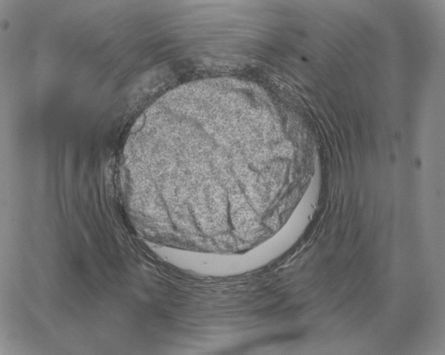 X0000064761059200603131403