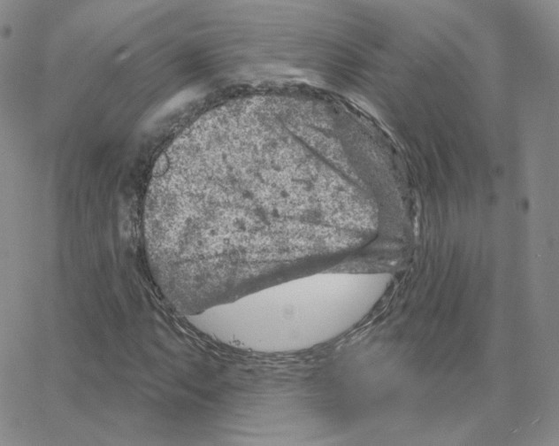 X0000064761063200603131403