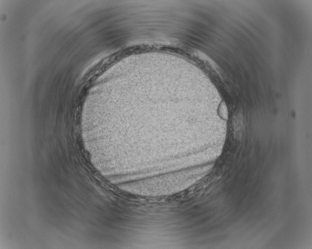 X0000064761064200603131403