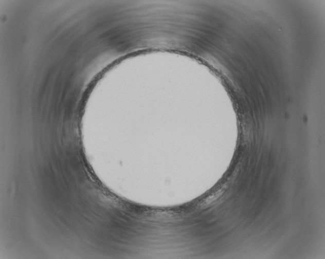 X0000064761070200603131403