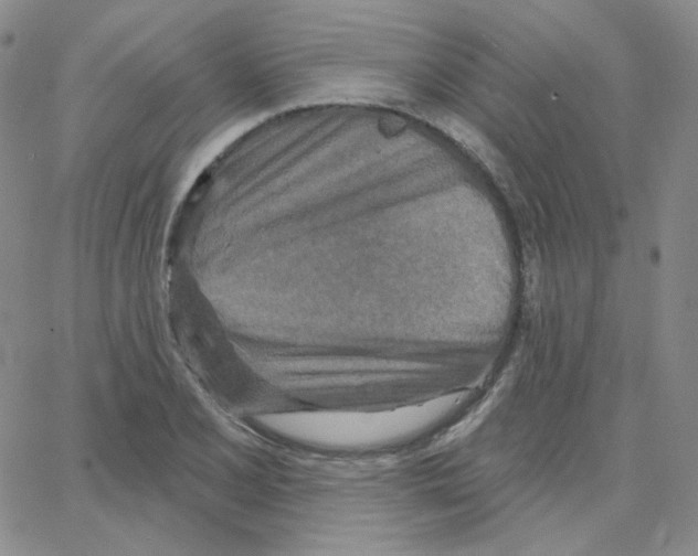 X0000064761077200603131403