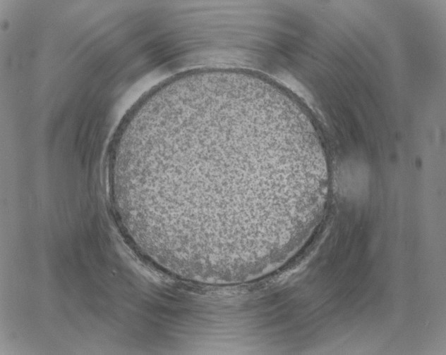 X0000064761078200603131403