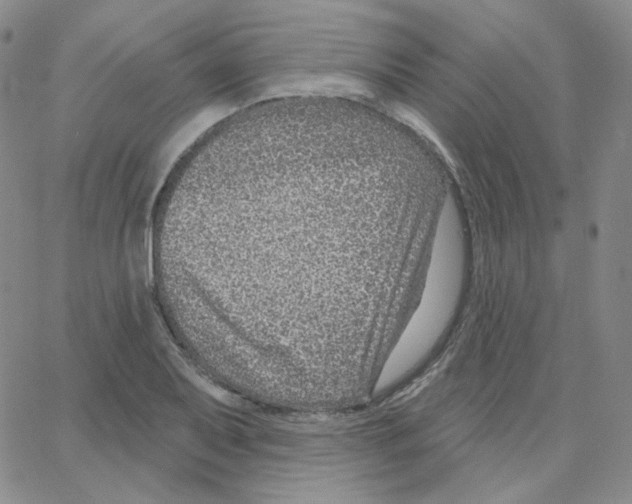 X0000064761079200603131403