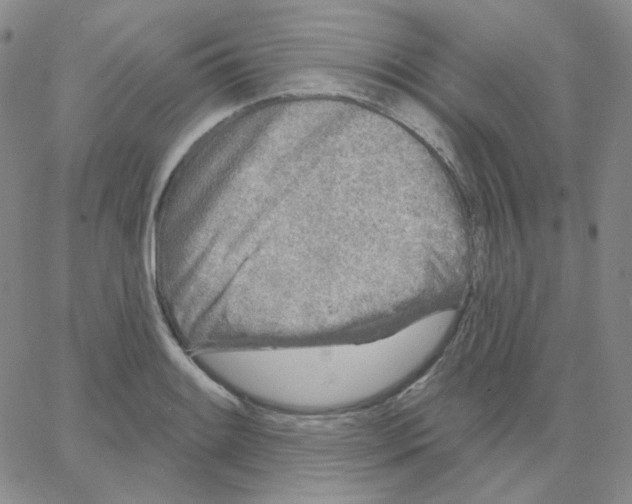 X0000064761084200603131402