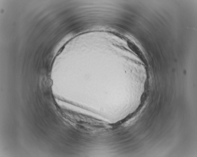X0000064761097200603131402