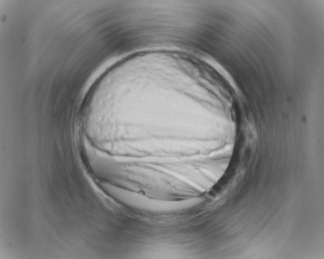 X0000064761101200603131402