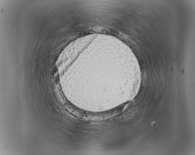 X0000064761105200603131401