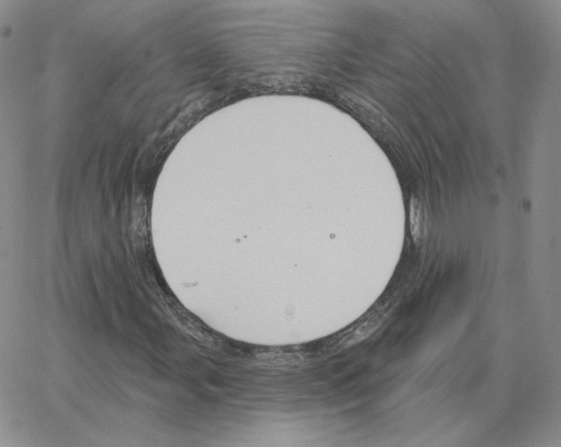 X0000064761107200603131401
