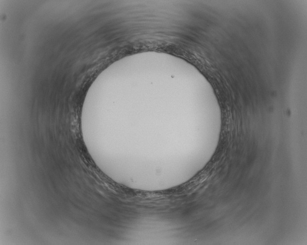 X0000064761109200603131401