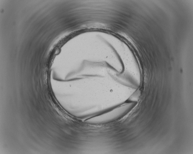 X0000064761115200603131401