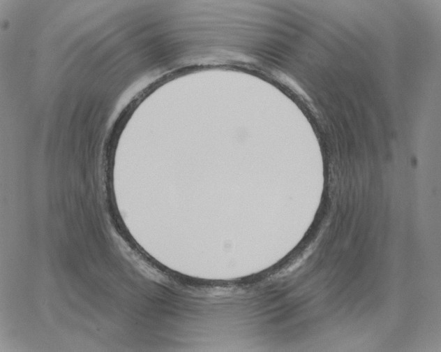 X0000064761122200603131402