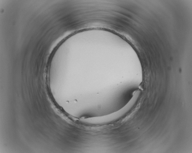 X0000064761134200603131402