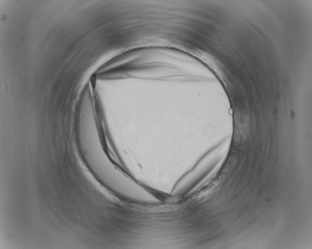 X0000064761142200603131402