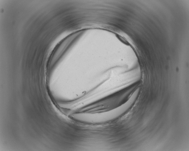 X0000064761143200603131402