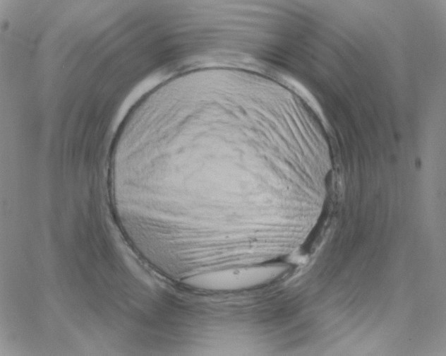 X0000064761146200603131402