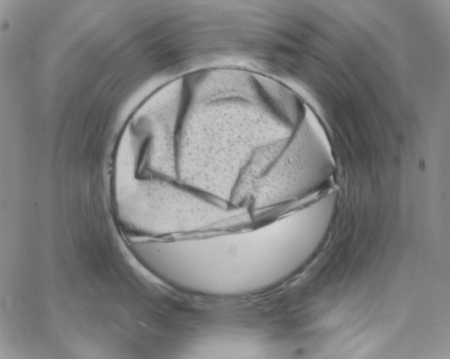 X0000064761151200603131402