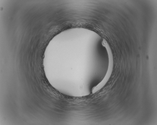 X0000064761153200603131401