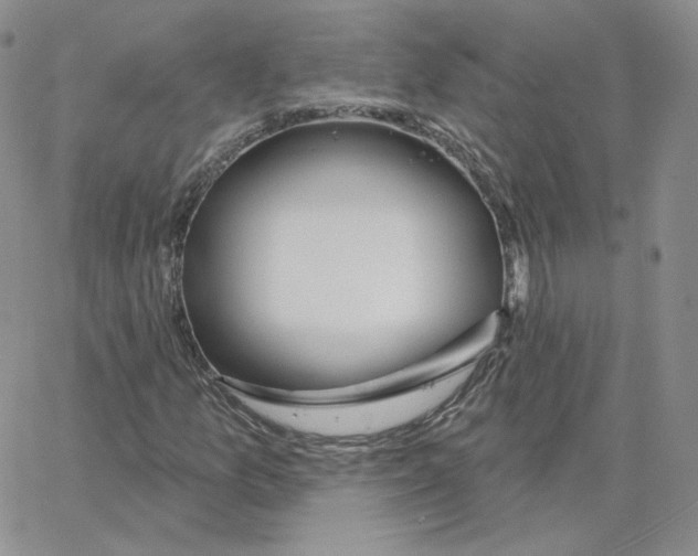 X0000064761157200603131401