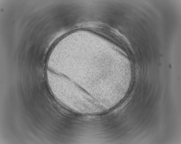X0000064761166200603131401