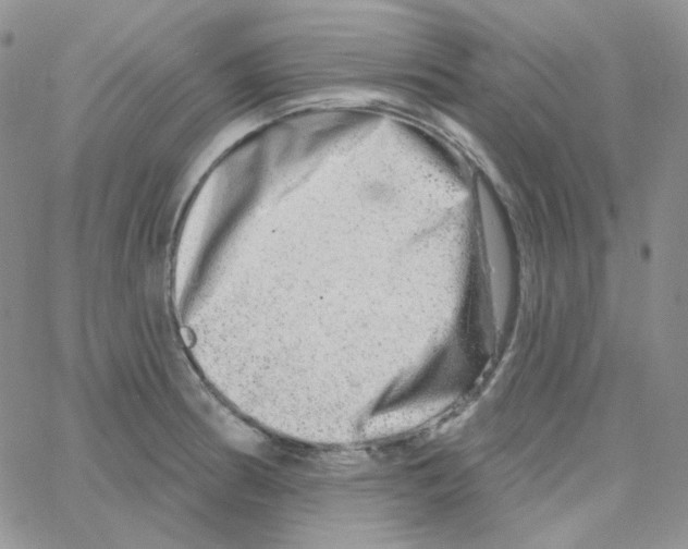 X0000064761186200603131401