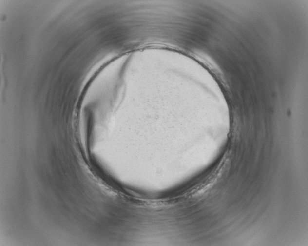 X0000064761190200603131401