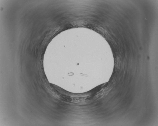 X0000064761201200603131400