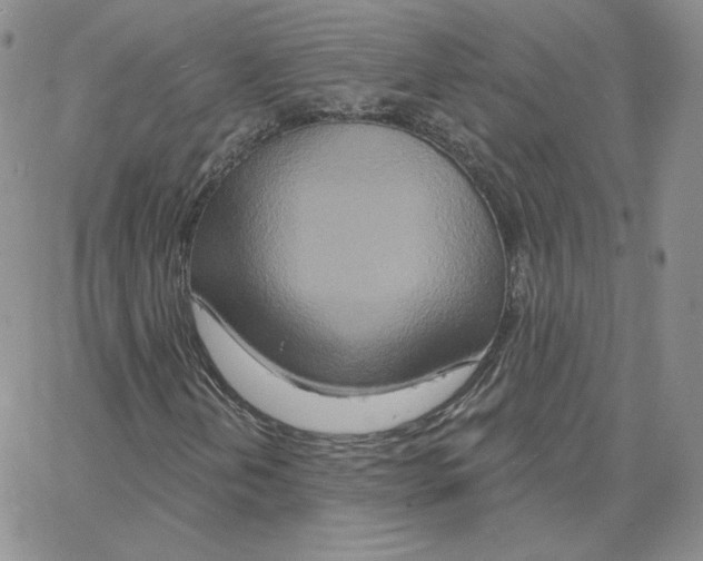 X0000064761202200603131400