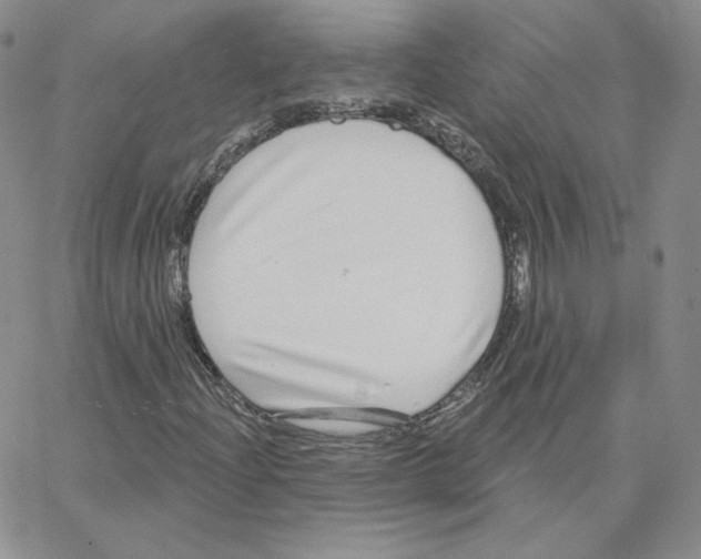 X0000064761204200603131400