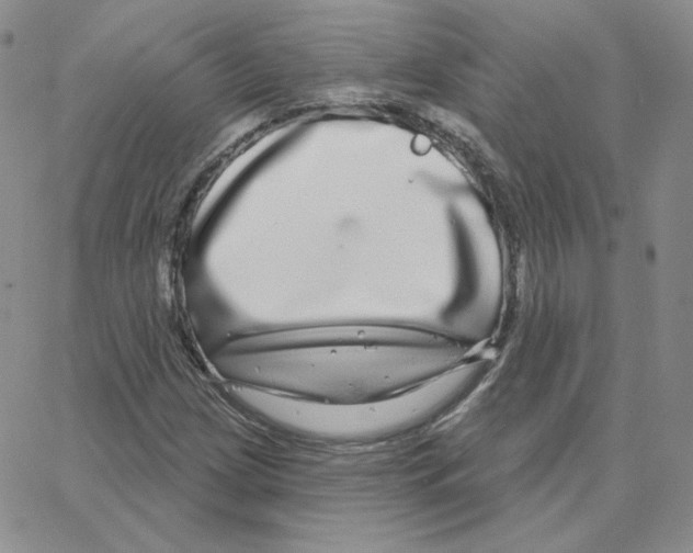 X0000064761209200603131400