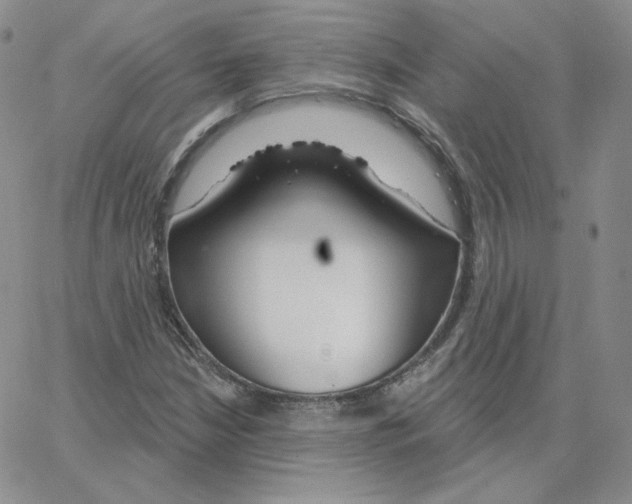 X0000064761210200603131400