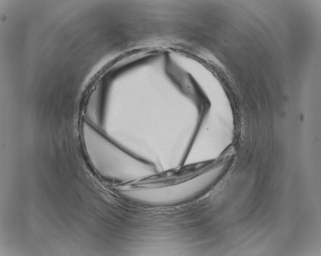 X0000064761216200603131400