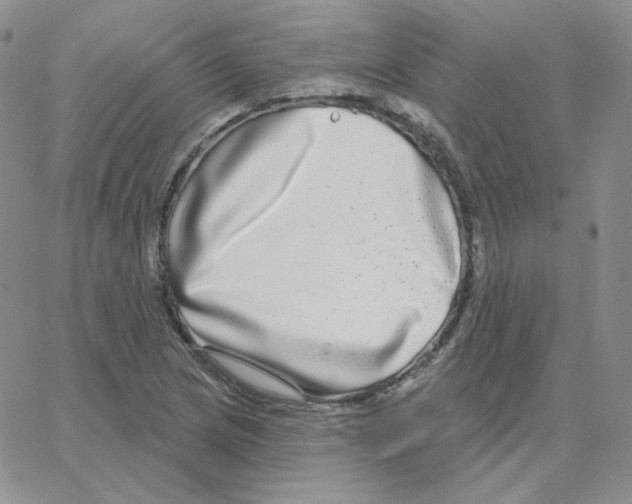 X0000064761217200603131400