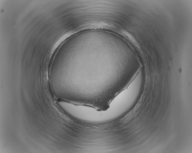 X0000064761226200603131400