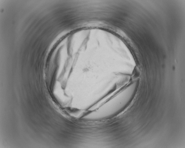 X0000064761232200603131400