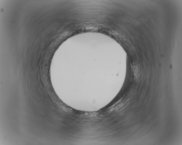 X0000064761249200603131400