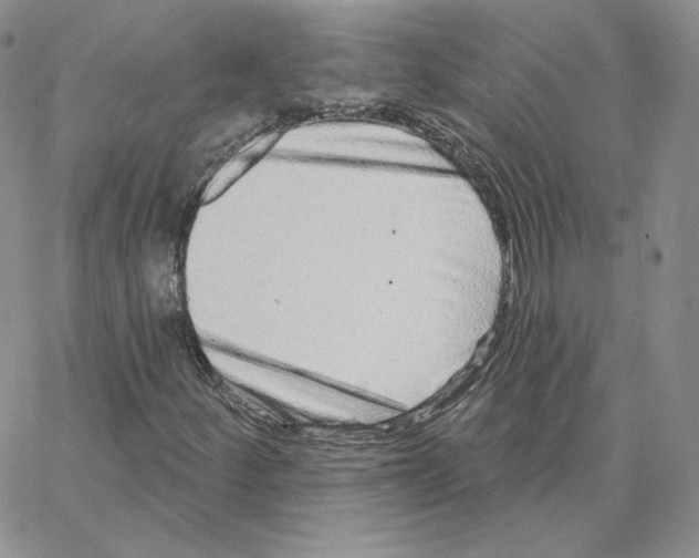 X0000064761252200603131400