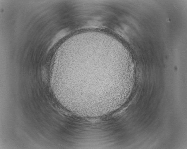 X0000064761258200603131400