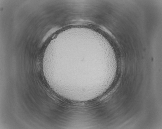 X0000064761259200603131400