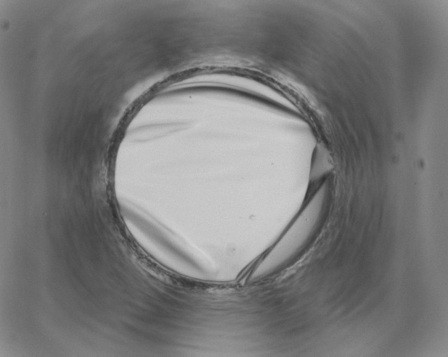 X0000064761264200603131400