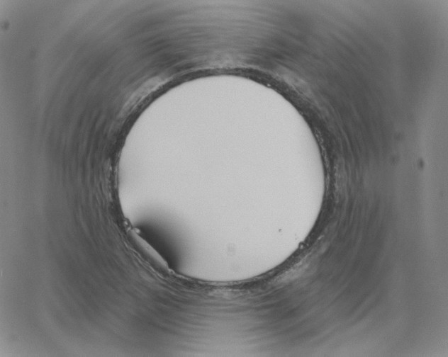 X0000064761265200603131359