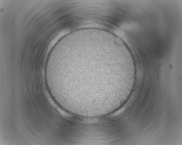 X0000064761282200603131359