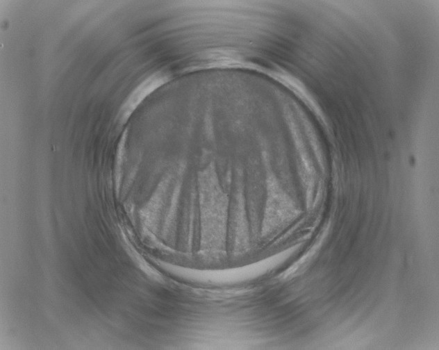 X0000064761289200603131359