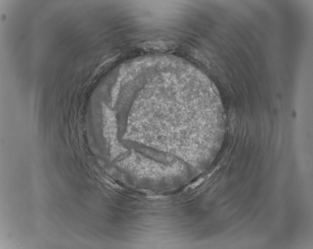 X0000064761297200603131358