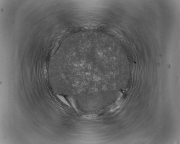 X0000064761298200603131358