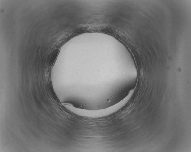 X0000064761300200603131358