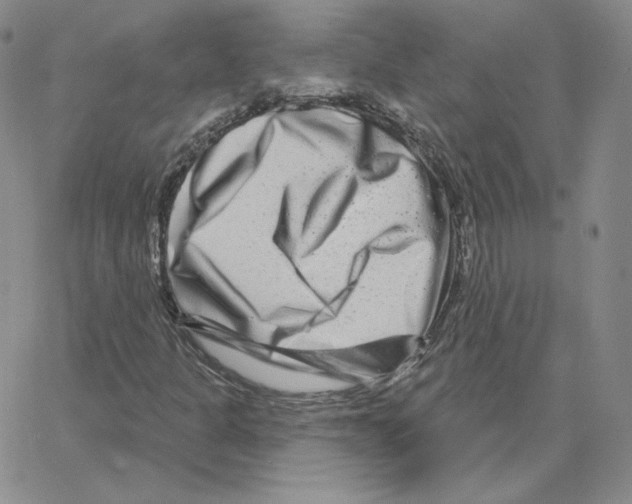 X0000064761301200603131358